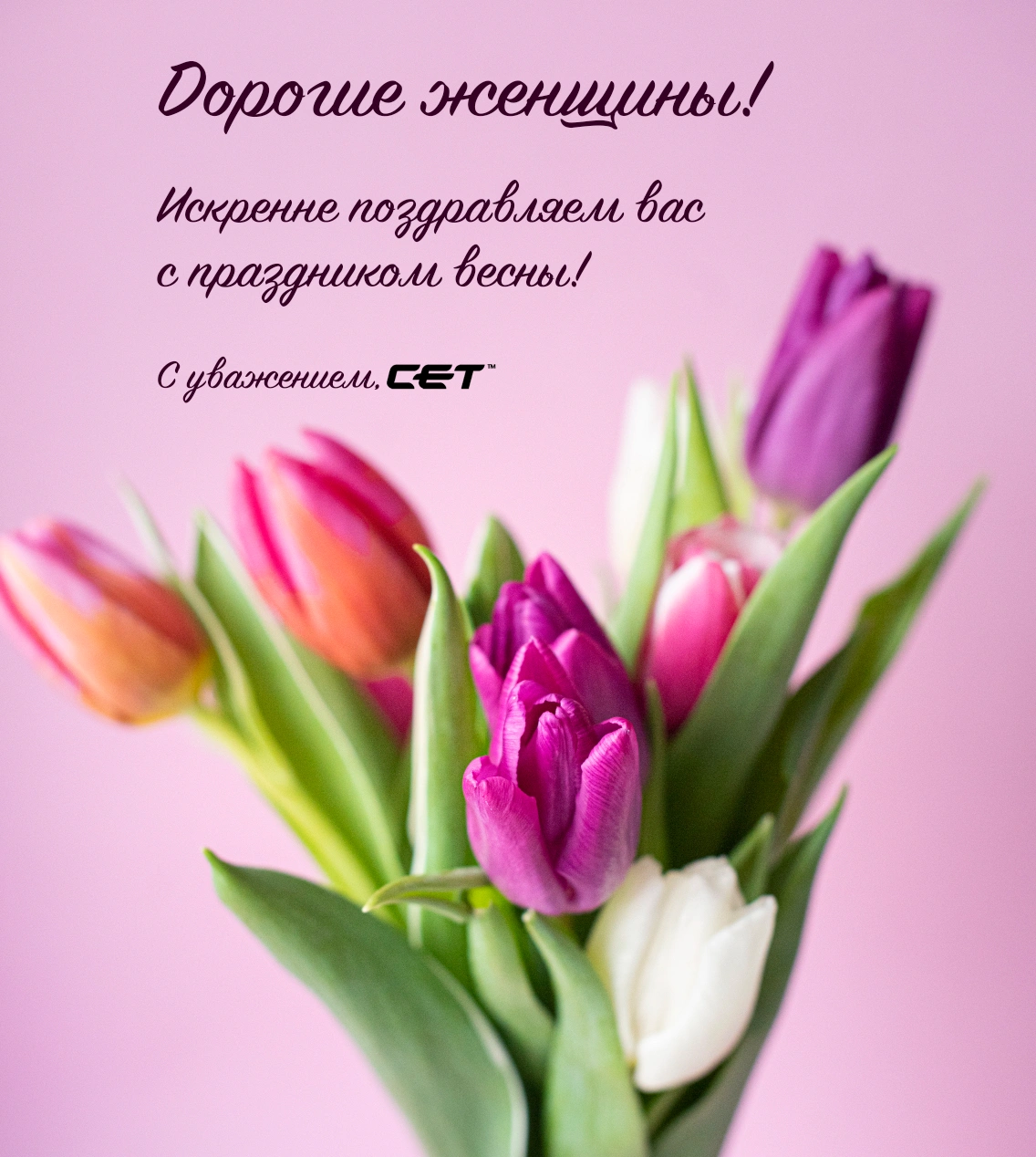 CET Group поздравляет всех женщин с праздником весны!